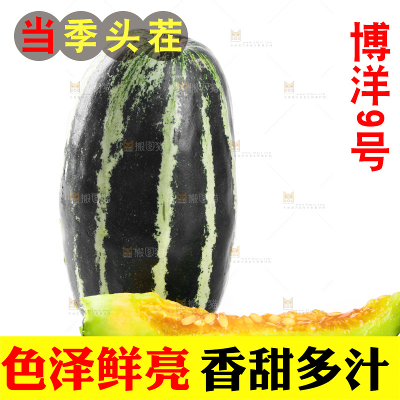 白底上放着博洋9号