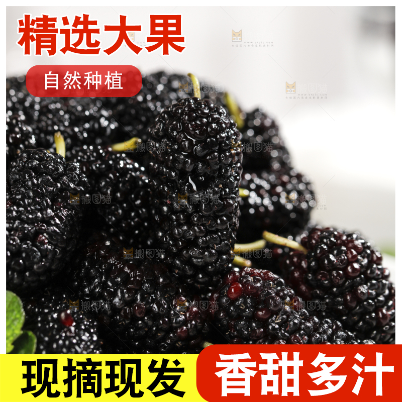 一盘新鲜桑葚
