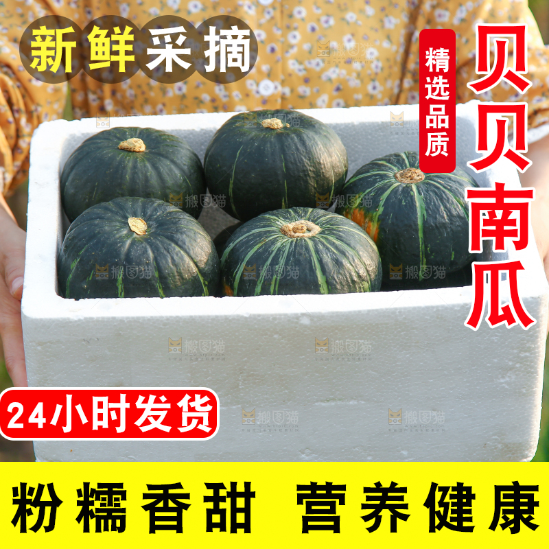一箱贝贝小南瓜