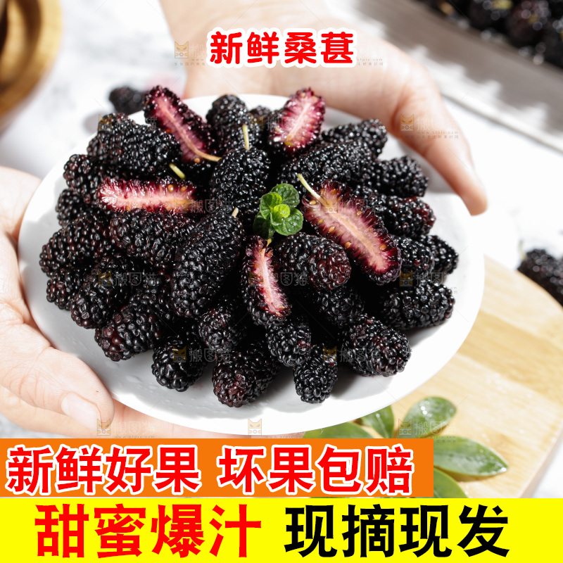手里端着一盘桑葚果