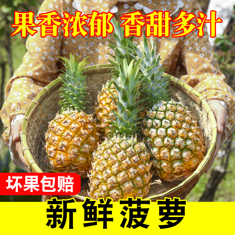 一篮新鲜菠萝