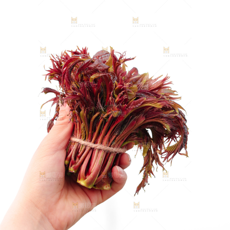 手里拿着红油香椿芽