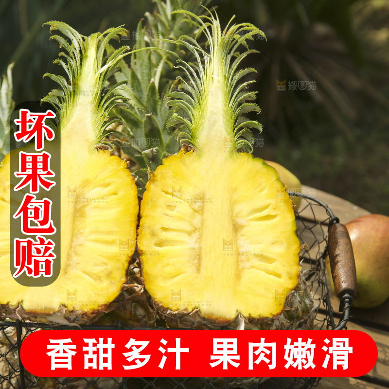 一篮徐闻菠萝