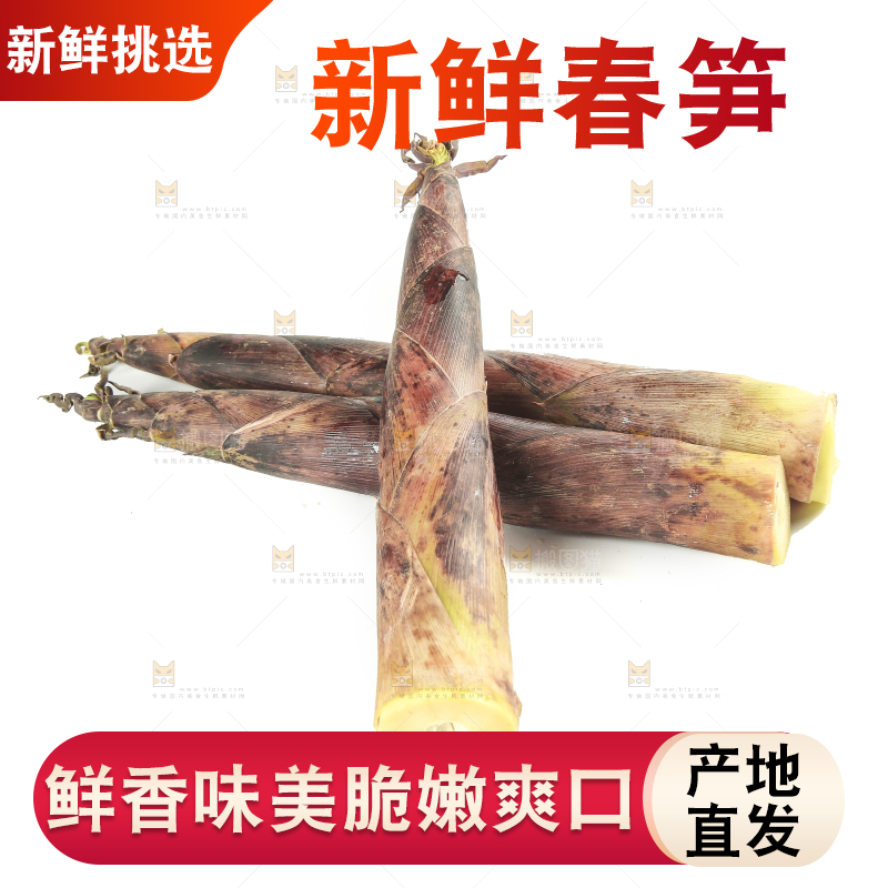 白底上摆放着春雷笋