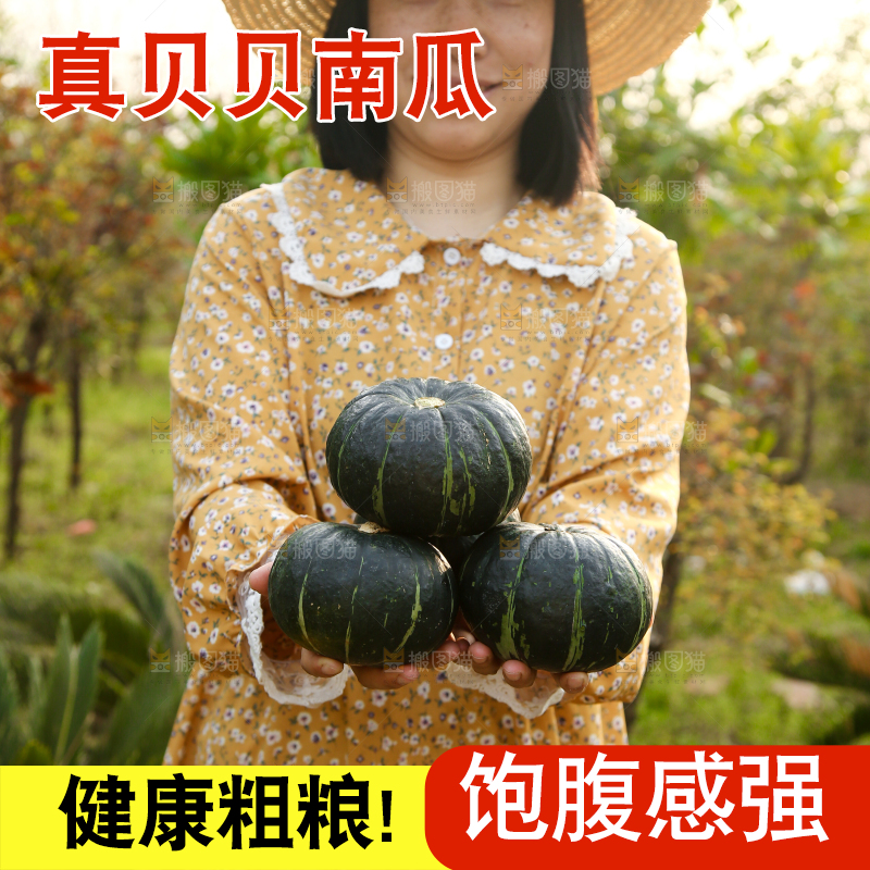 手里捧着板栗南瓜