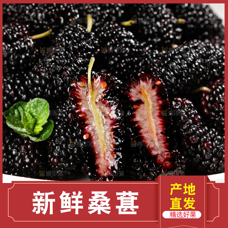 一盘新鲜桑葚