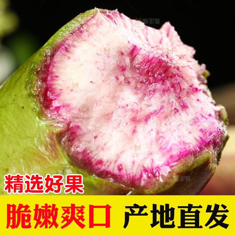 手里拿着冰糖心萝卜