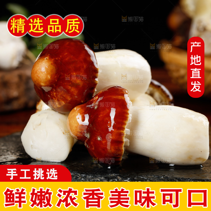 黑底上放着赤茸菇