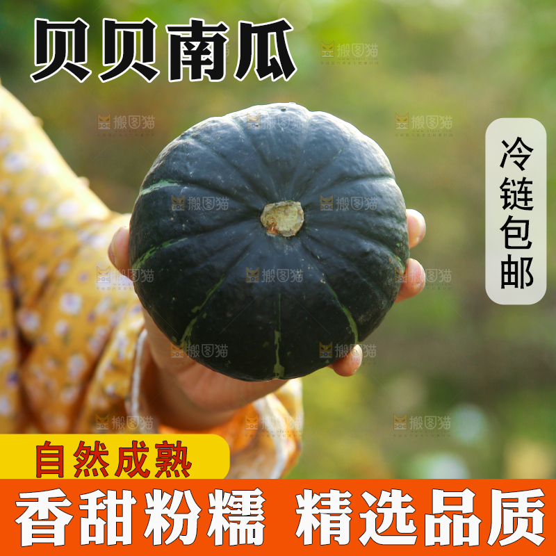 手里拿着板栗南瓜