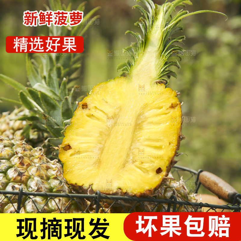 一篮徐闻菠萝