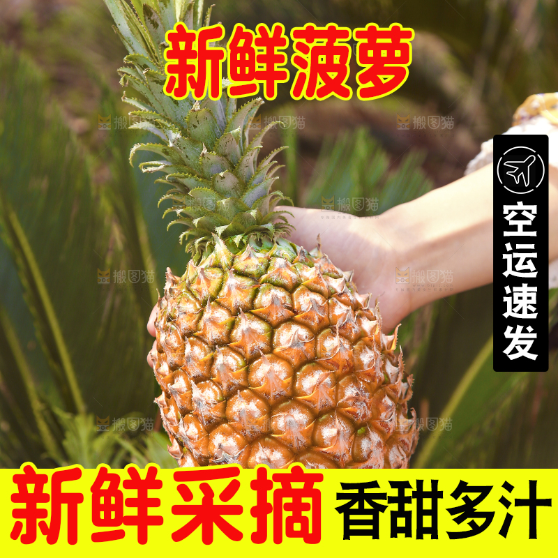 手里拿着菠萝