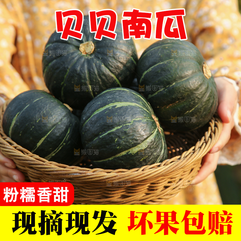 手里端着一篮贝贝南瓜