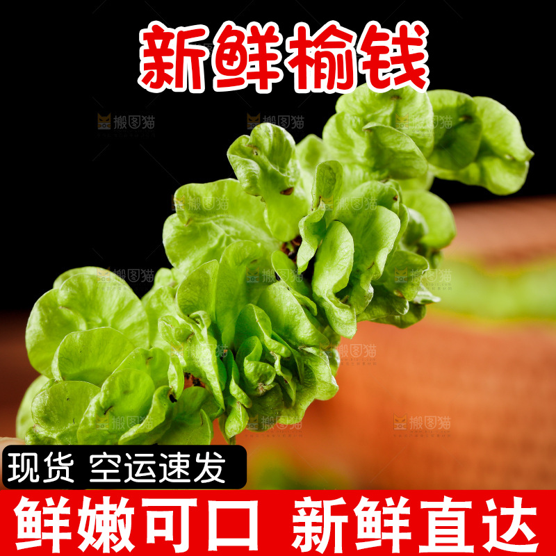 手里拿着榆钱
