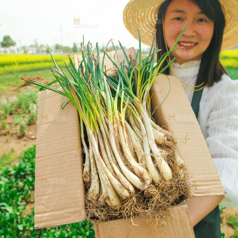 一箱带叶藠头