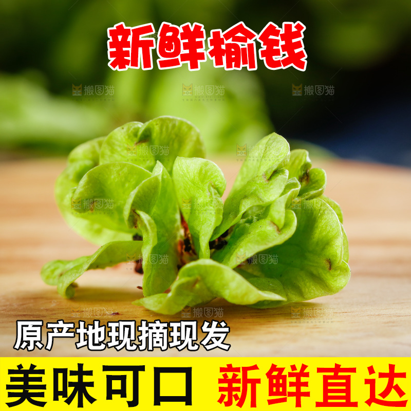 木底上的榆钱儿