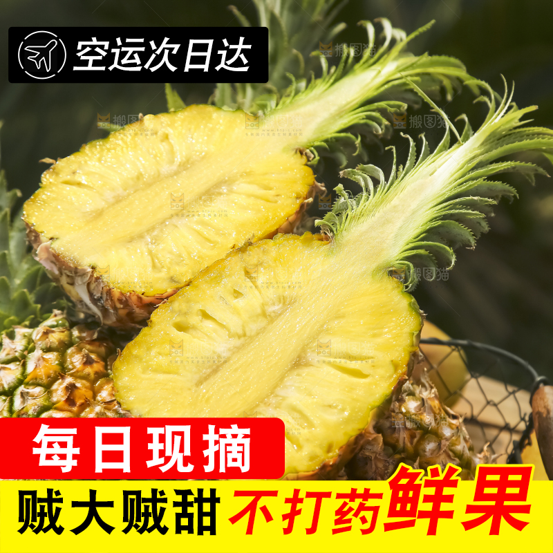 一篮徐闻菠萝