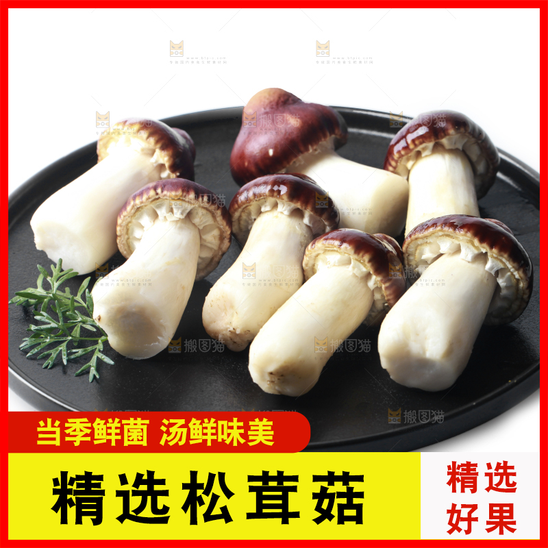 一盘松茸菇摆放在白底上