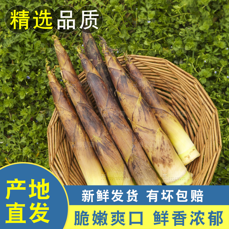 一篮临安春雷笋