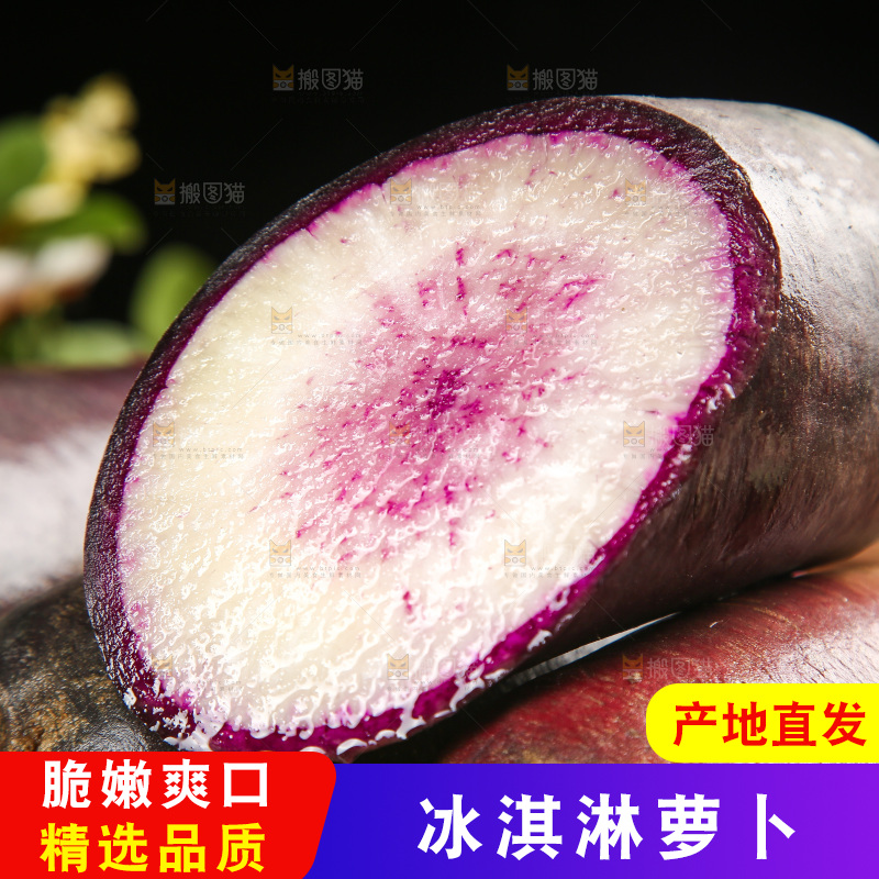 新鲜的冰糖心萝卜