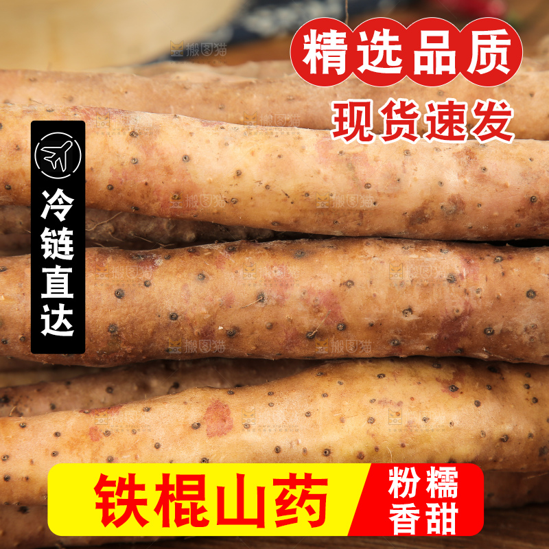 一捆铁棍山药