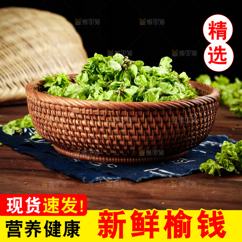 一篮新鲜榆钱