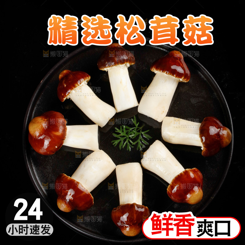 黑底上放着一盘赤松茸