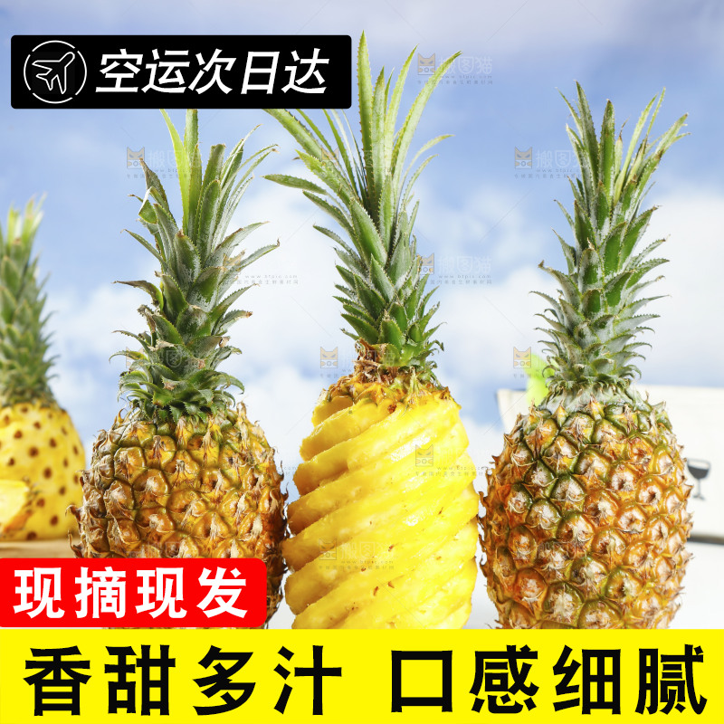 一堆新鲜菠萝
