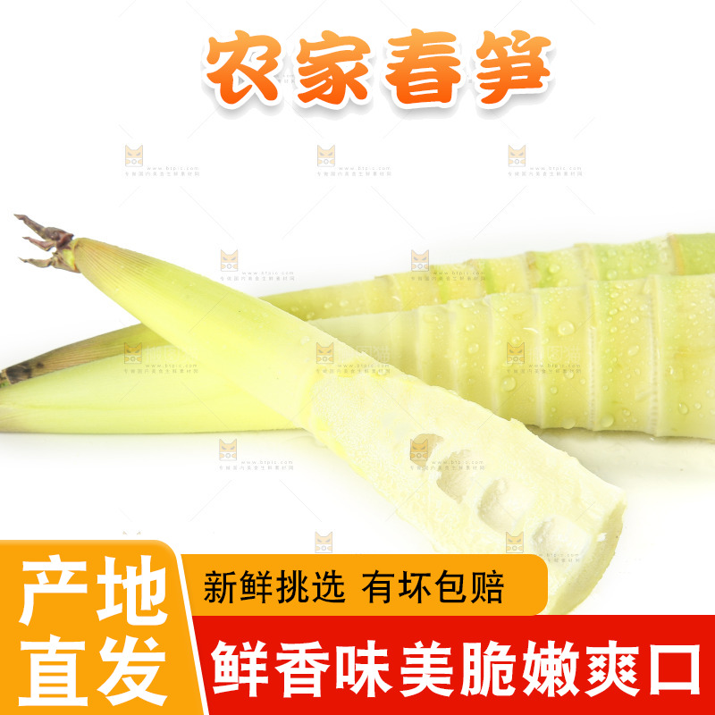 白底上的竹笋