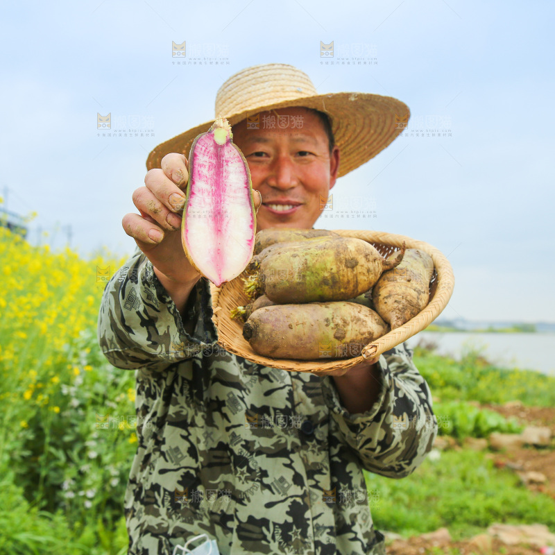 一簸箕冰激凌水果萝卜