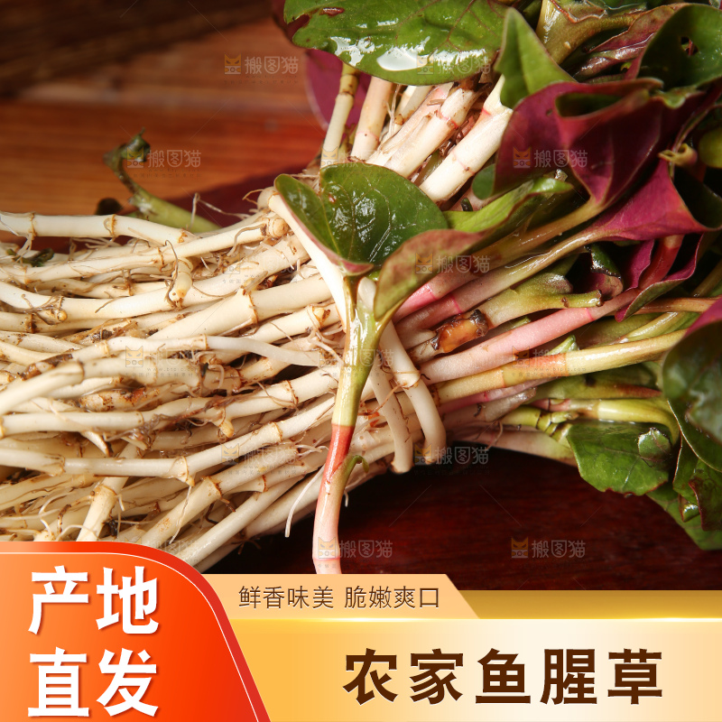 木底上放着折耳根