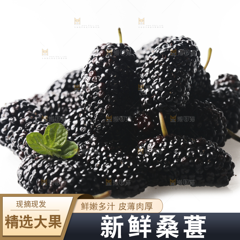 一堆新鲜桑葚