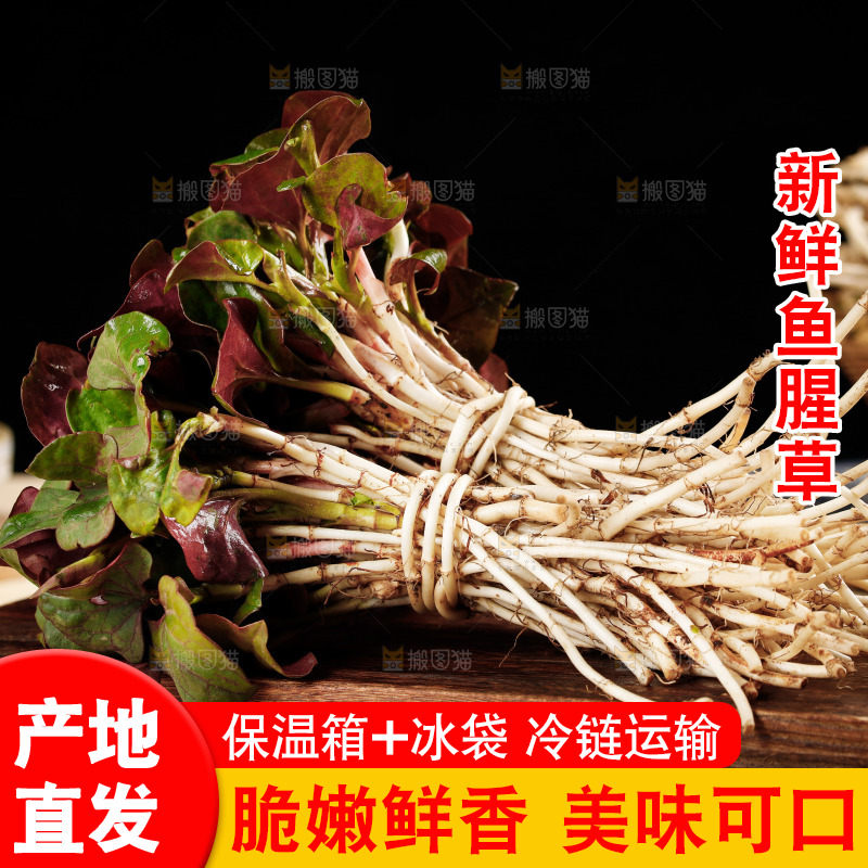 木底上放着新鲜折耳根