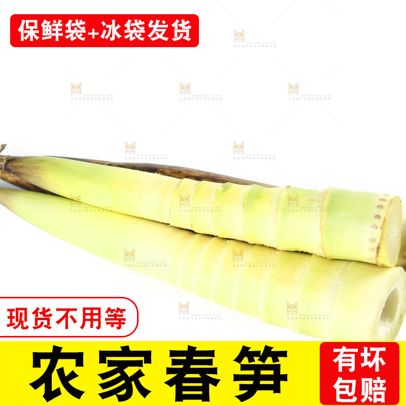 白底上摆放着春雷笋