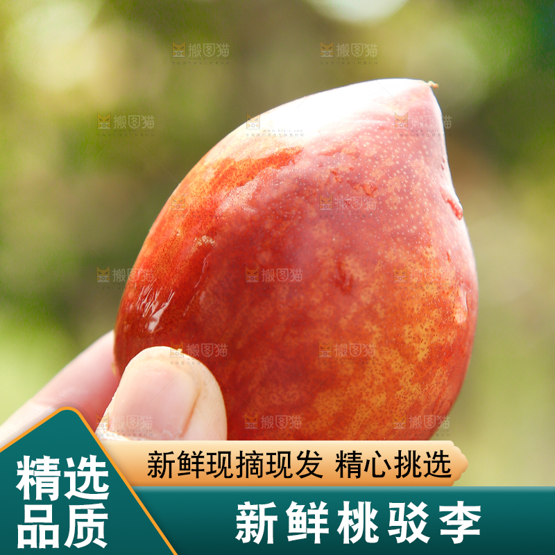 手里拿着桃驳李