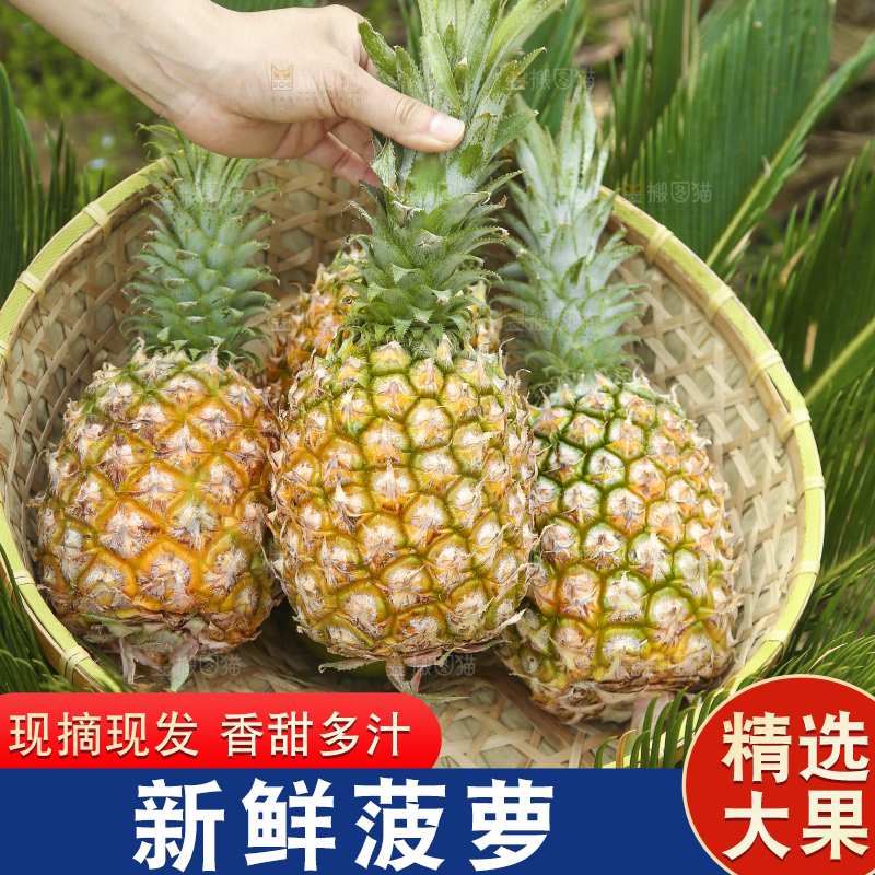 一篮新鲜菠萝