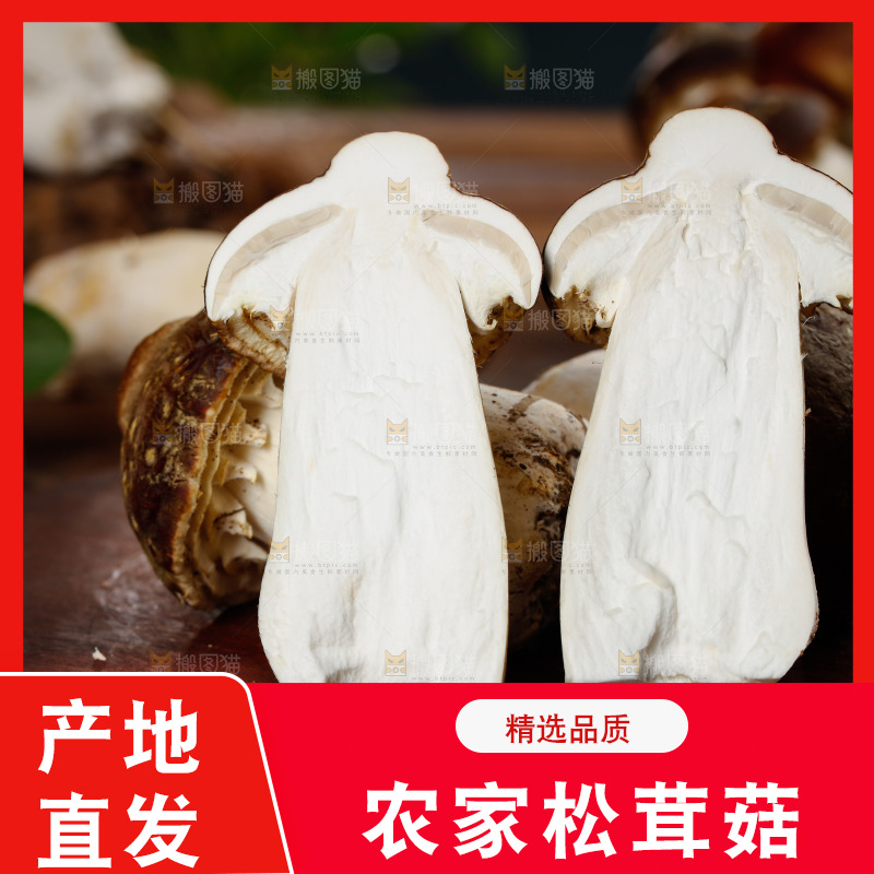 木板上放着松茸菇