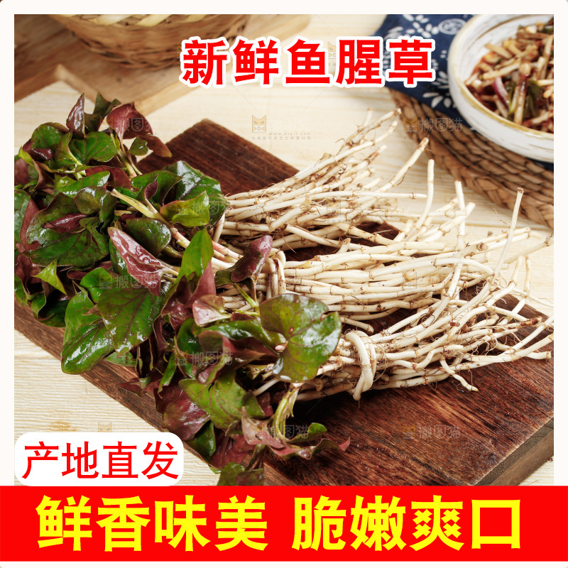 木底上放着新鲜折耳根
