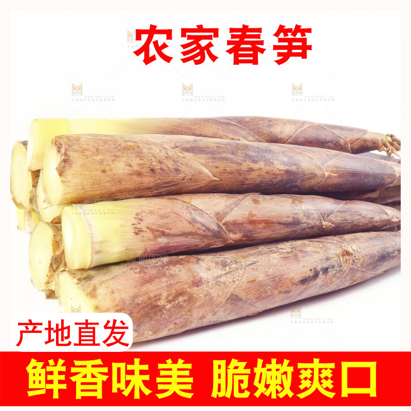 白底上放着一堆春笋