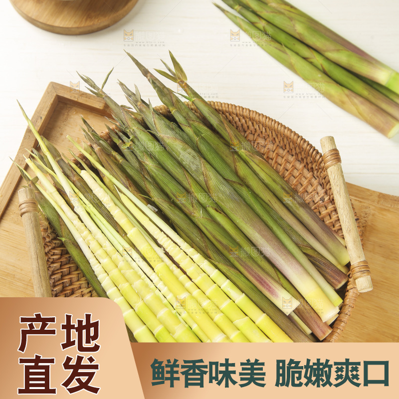 一篮野生小竹笋