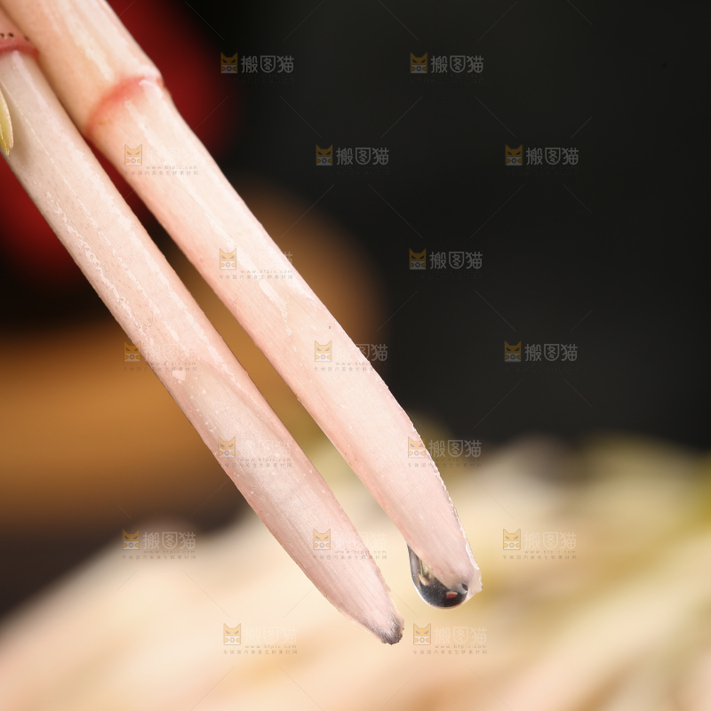 新鲜的鱼腥草嫩芽