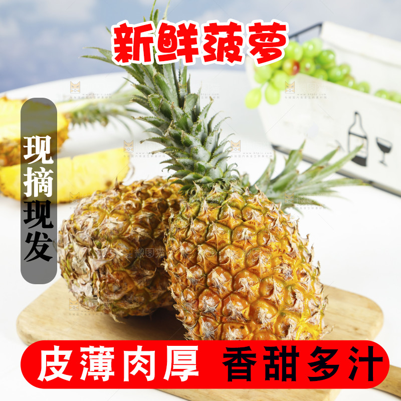 木底上的广东徐闻菠萝