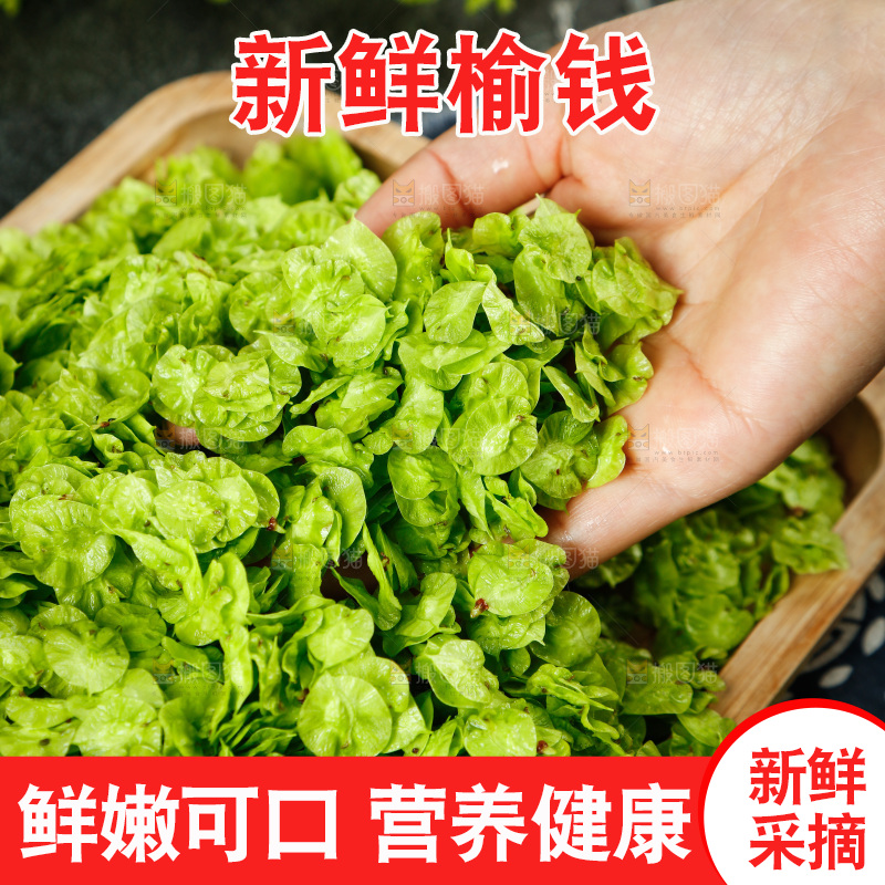 手里拿着榆钱