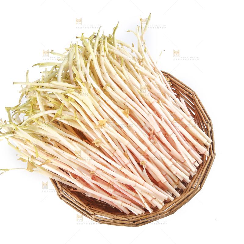 一篮折耳根嫩芽