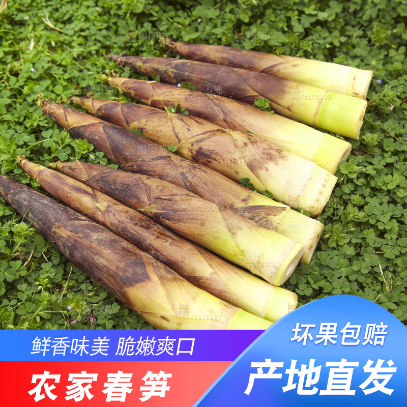 草里上放着春笋