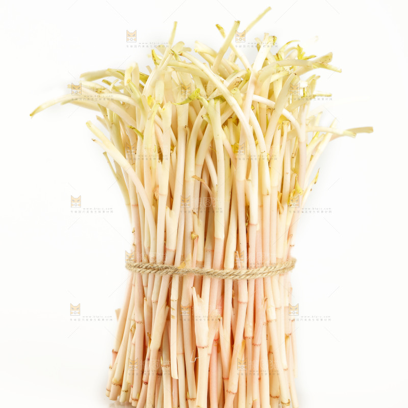 白底上放着折耳根嫩芽