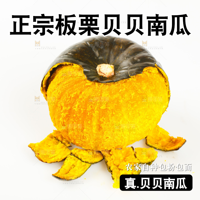 白底上的贝贝小南瓜