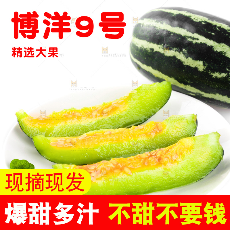 盘子里装着博洋9号甜瓜果肉