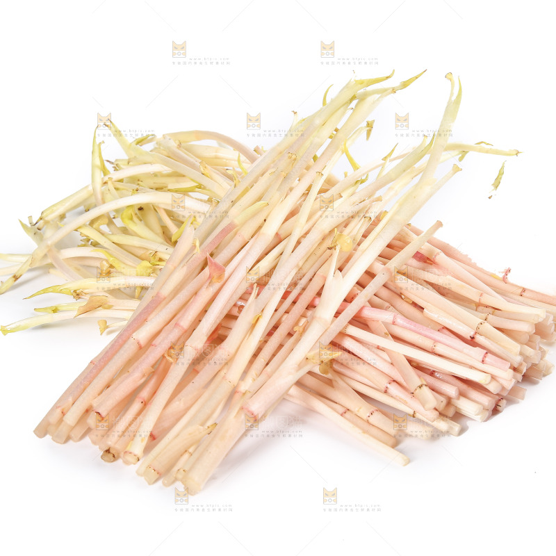 白底上的鱼腥草嫩芽