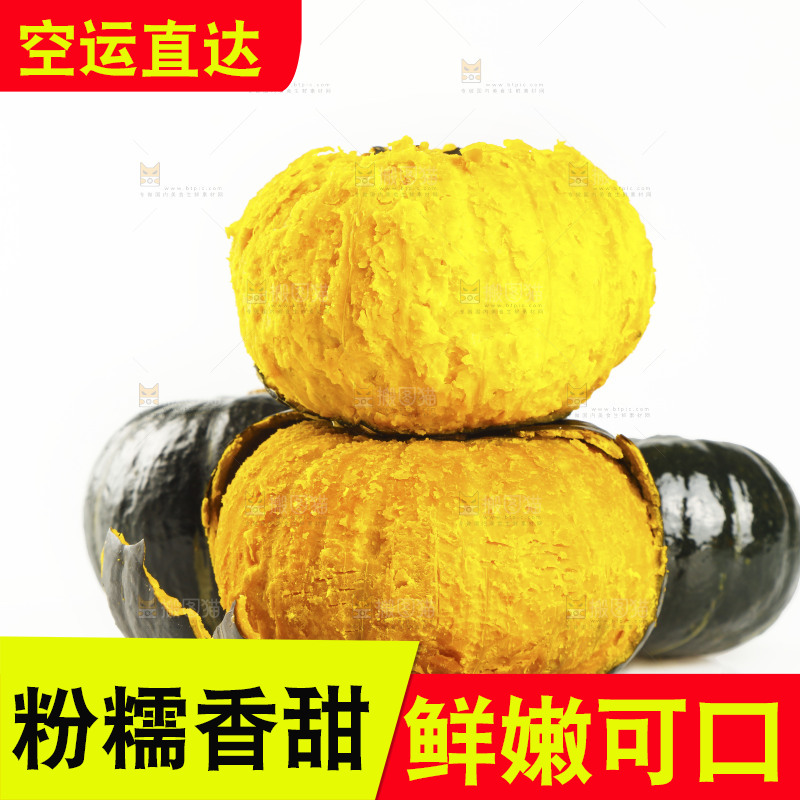 白底上的贝贝小南瓜