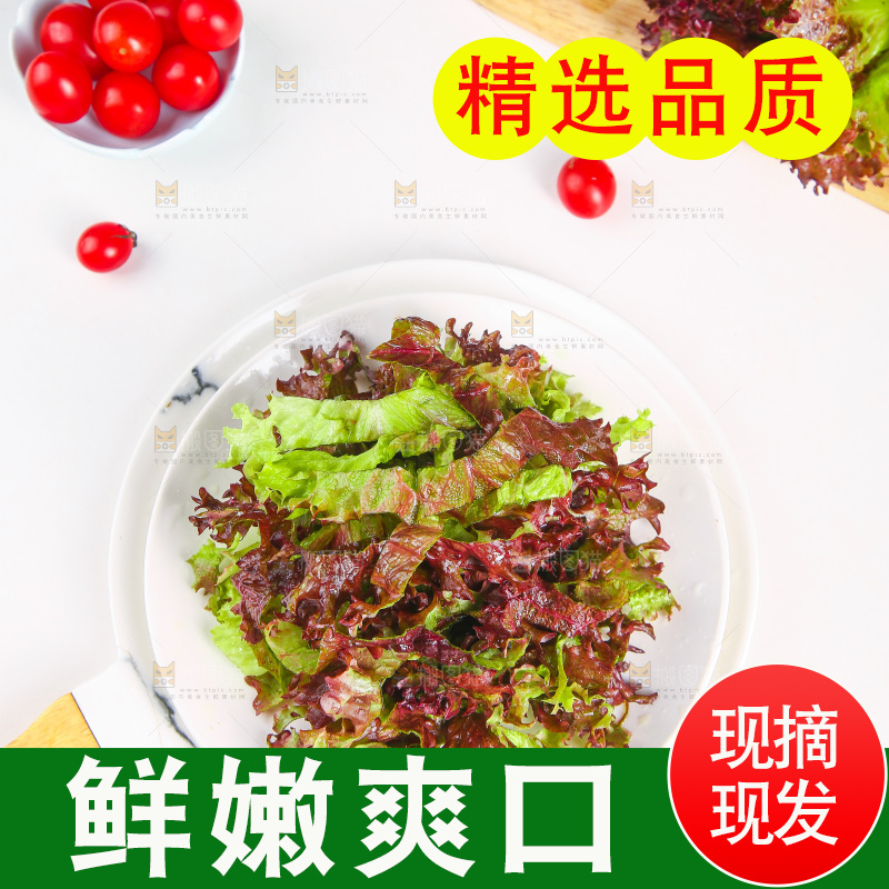 一盘红叶生菜